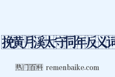 挽黄月溪太守同年反义词是什么意思的图片